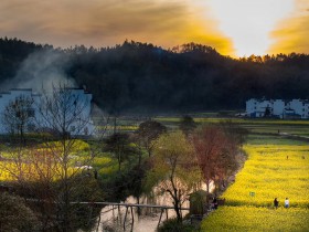 合资公司隐名股东显名化判决的法律分析