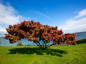 各地创投机构鼓励和扶持政策汇总(上篇)——直辖市篇