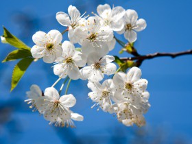 China court ruling conveys right of user-generated data to internet firms – analysis