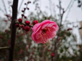 客户评价:百密寻一疏,专业维股权